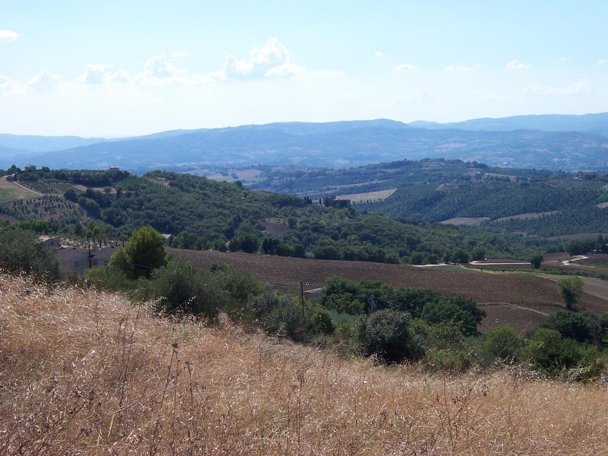 Agriturismo La Casella San Terenziano Buitenkant foto